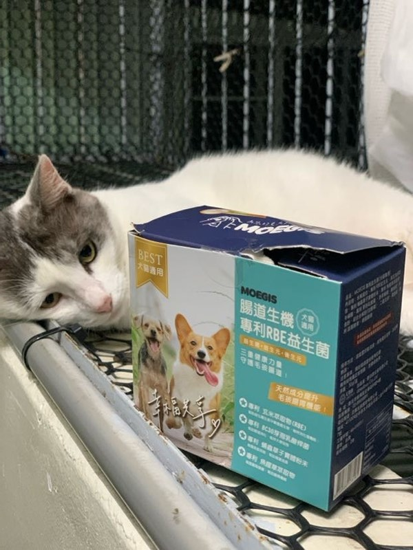 女人知己試用大隊,口碑行銷,部落客行銷,Moegis萌吉 腸道生機專利RBE益生菌,寵物益生菌,專利RBE益生元,專利蔬果酵素,小分子胜肽,藍藻粉,維持免疫力,幫助維持消化道機能,維持正常食慾,改變細菌叢生態,腸胃保健,犬貓適用